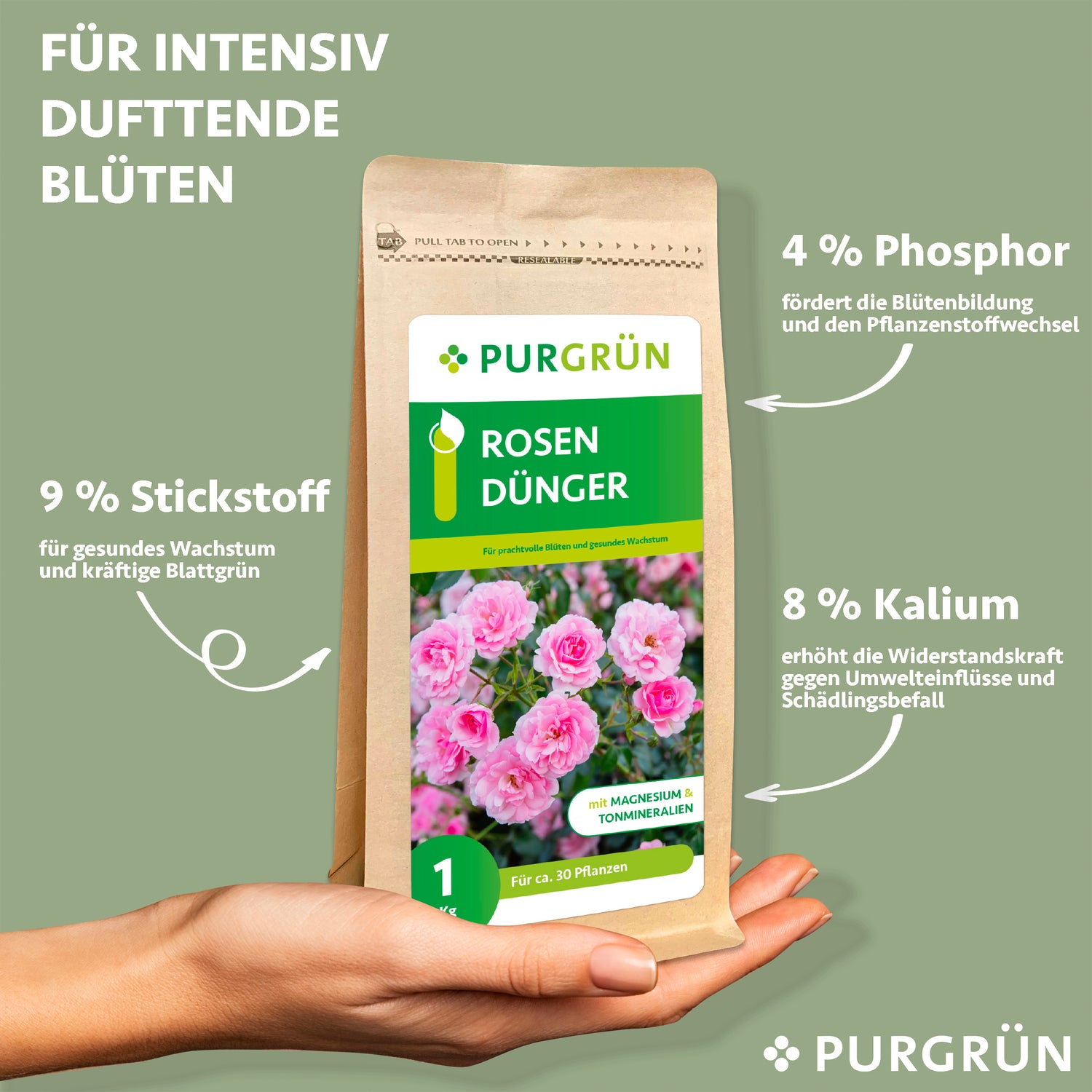 Eine Hand hält eine 1-kg-Packung Purgrün Rosendünger mit rosa Rosen auf dem Etikett. Der organisch-mineralische Dünger enthält 9 % Stickstoff, 4 % Phosphor und 8 % Kalium für optimales Wachstum und Blütenbildung.