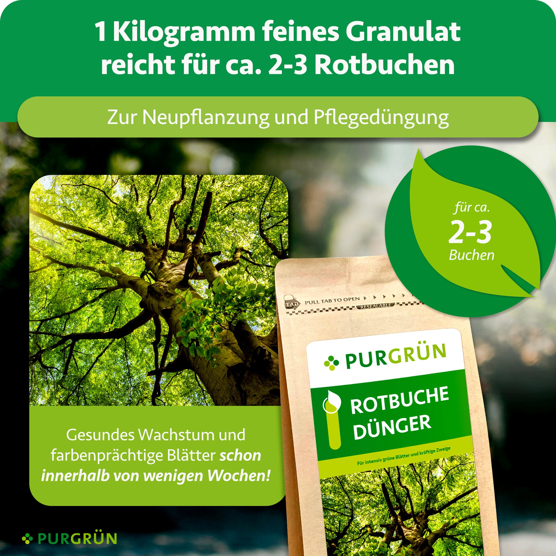 Purgrün Rotbuche-Dünger 1 kg