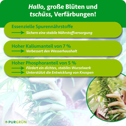 Sativa-Bloom-Dünger 1 Liter