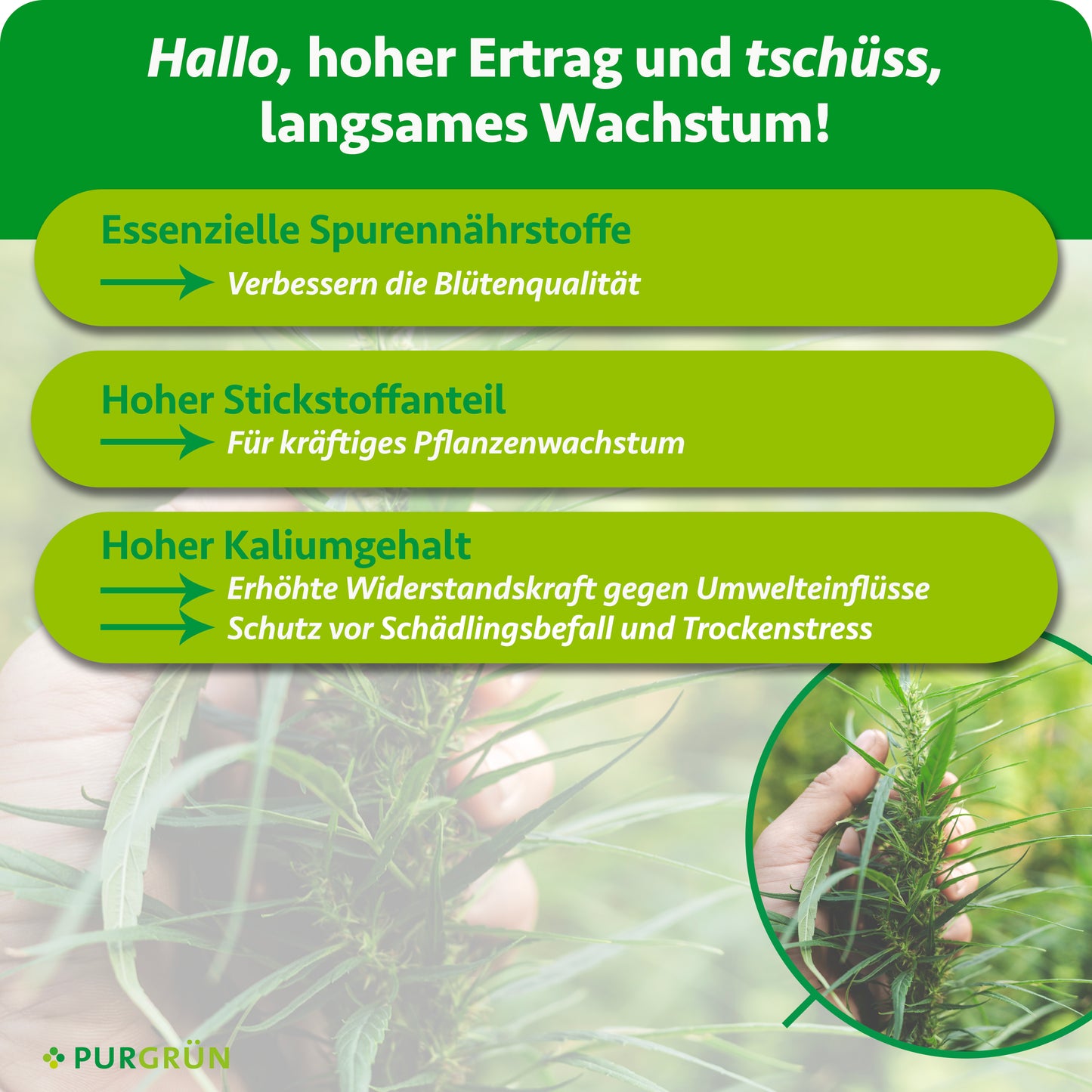 Sativa-Dünger-Set 2 x 1 Liter