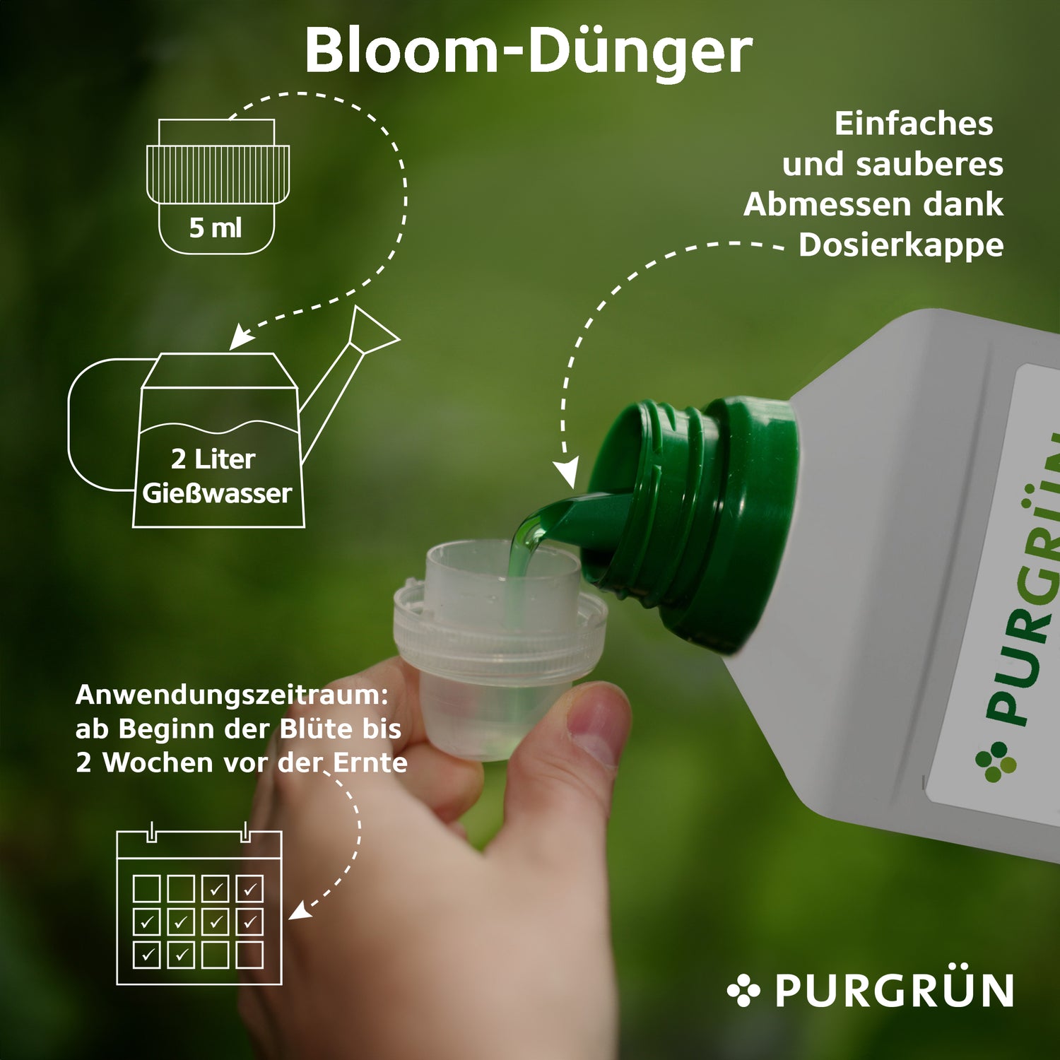 Eine Hand gießt grünen Sativa-Dünger aus einer Flasche des Purgrün Sativa-Dünger-Sets 2 x 1 Liter in eine Dosierkappe, auf der Dosierungsinformationen, Anwendungszeiträume (Wachstumsphase/Blütephase), Gießanwendung sowie Symbole für Kalender und Gießkanne angezeigt werden.