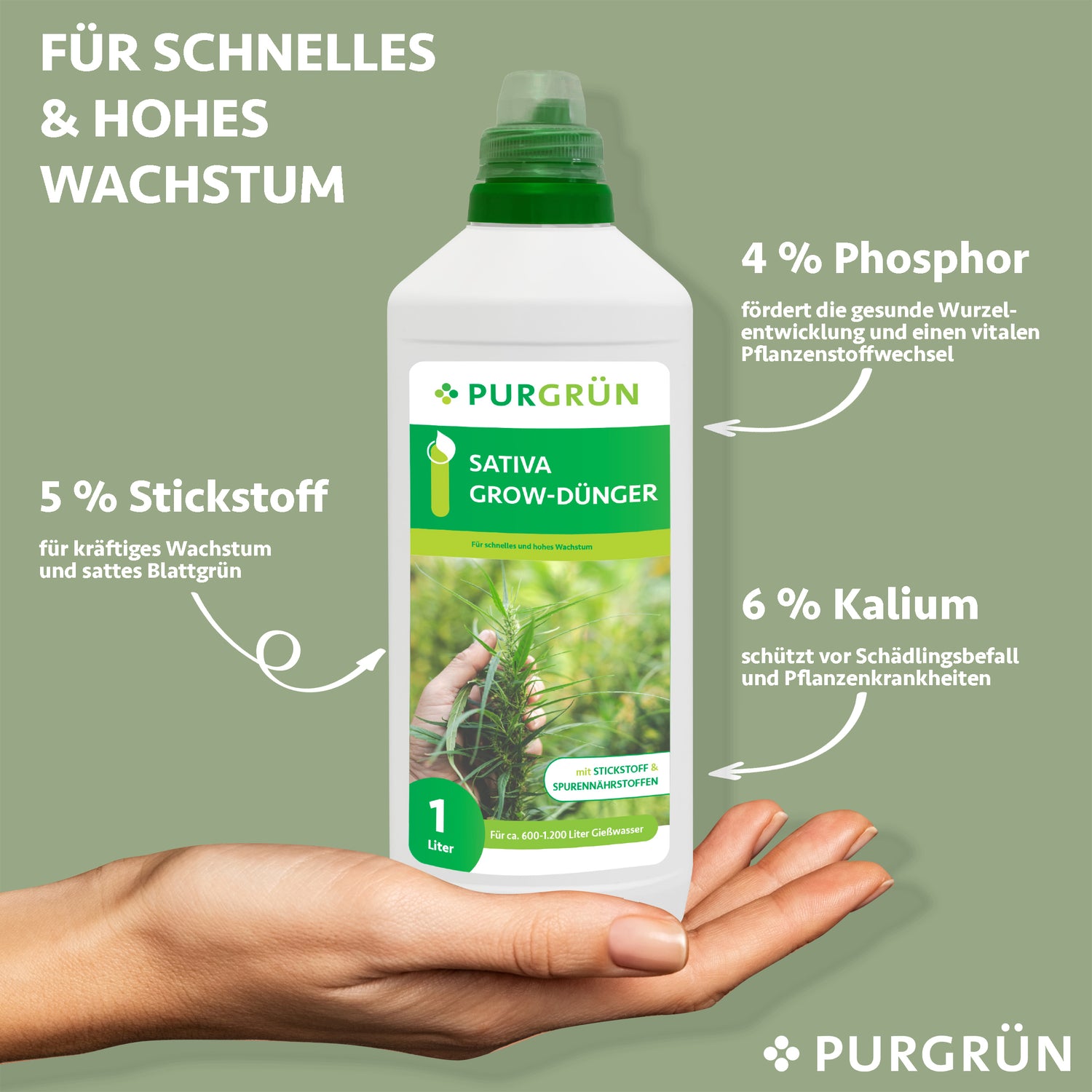 Eine Hand hält eine 1-Liter-Flasche Purgrün Sativa-Grow-Dünger, ideal für die vegetative Phase von Cannabis Sativa. Mit NPK 5-4-6 fördert er schnelles Wachstum und hilft, vor Schädlingen zu schützen.