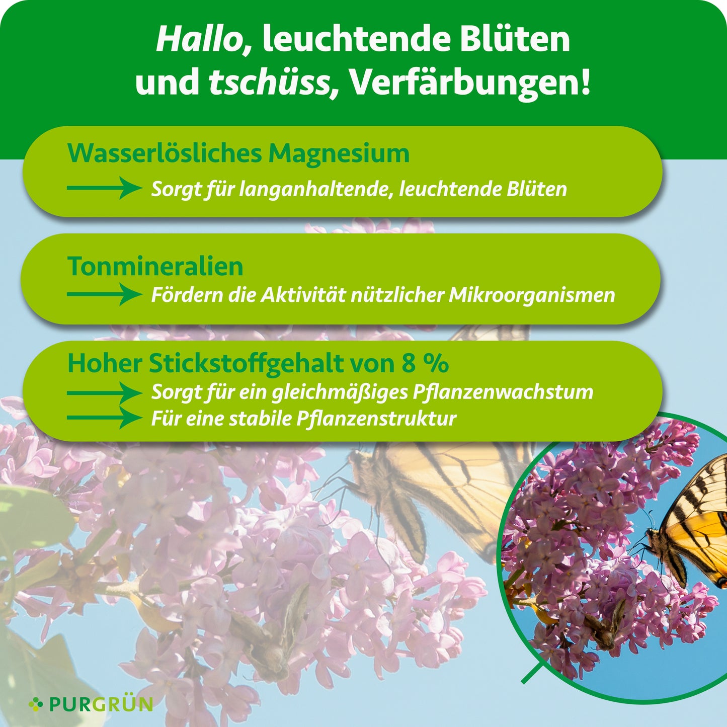 Schmetterlingsflieder-Dünger 1 kg