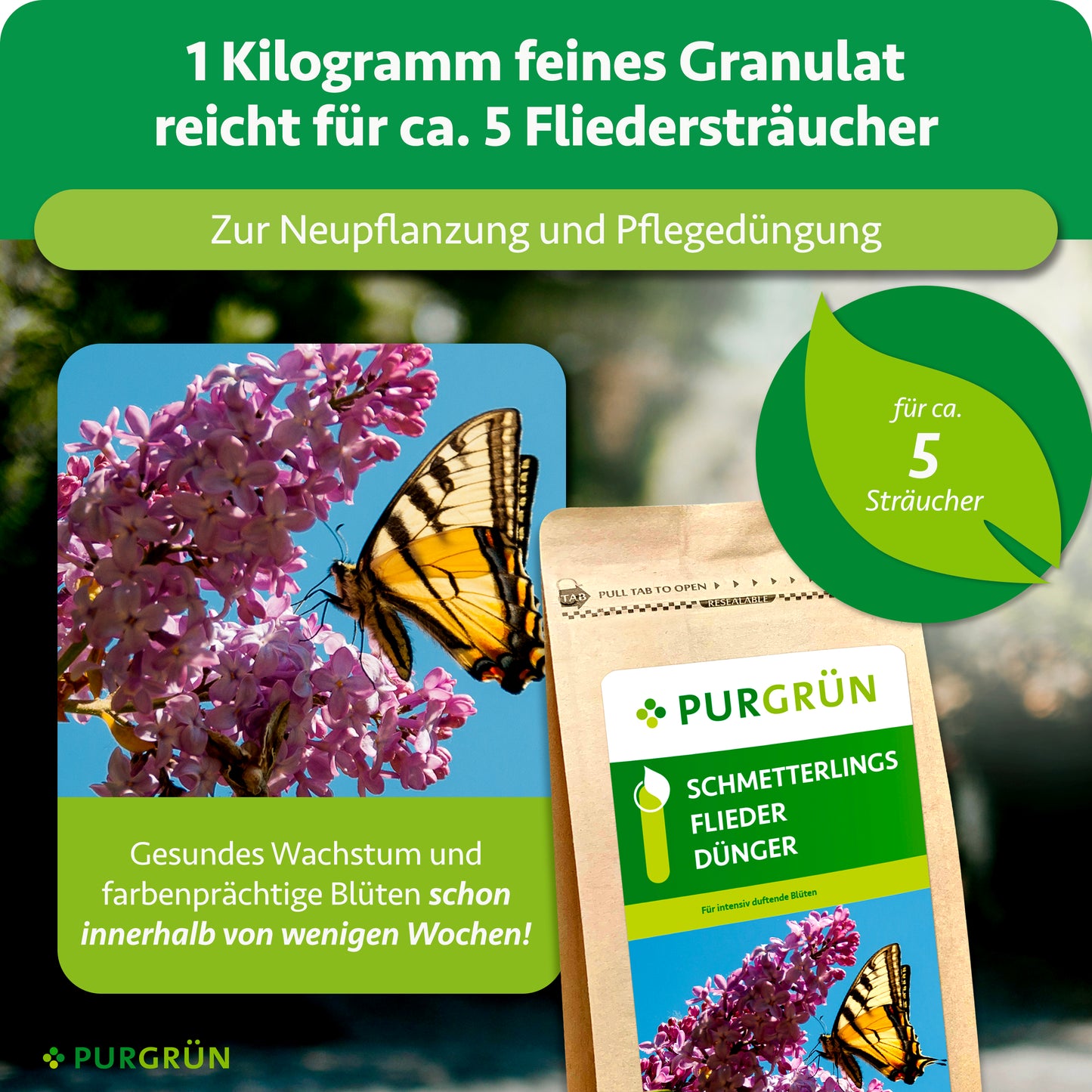 Schmetterlingsflieder-Dünger 1 kg