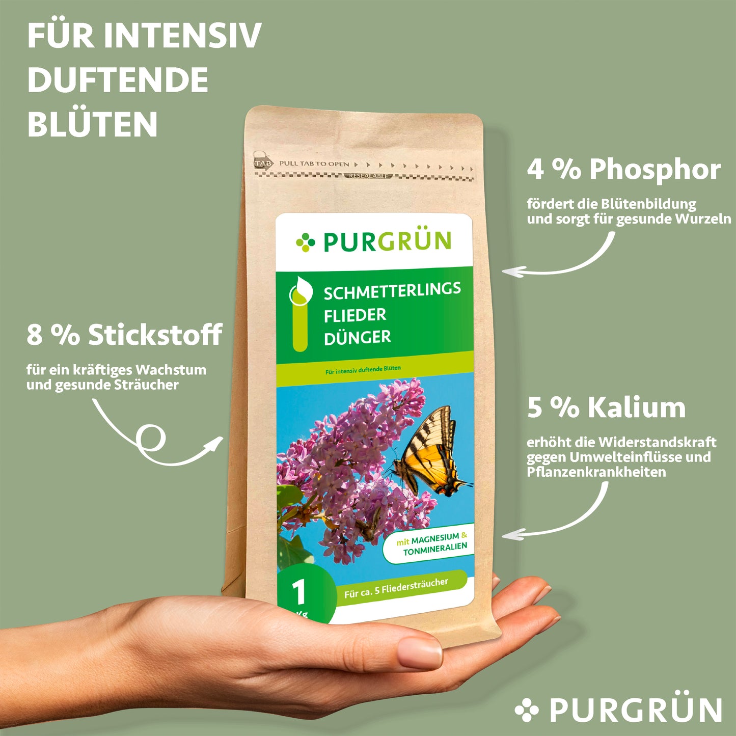 Eine Hand hält eine 1 kg-Packung Purgrün Schmetterlingsflieder-Dünger für Flieder und Schmetterlingssträucher. Auf dem Etikett sind der N-, P- und K-Gehalt sowie die Vorteile eines organischen Düngers angegeben, mit der Abbildung eines Schmetterlings auf einer Fliederblüte.