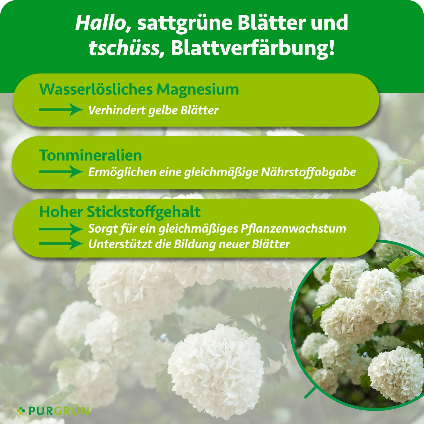 Schneeball-Dünger 1 kg