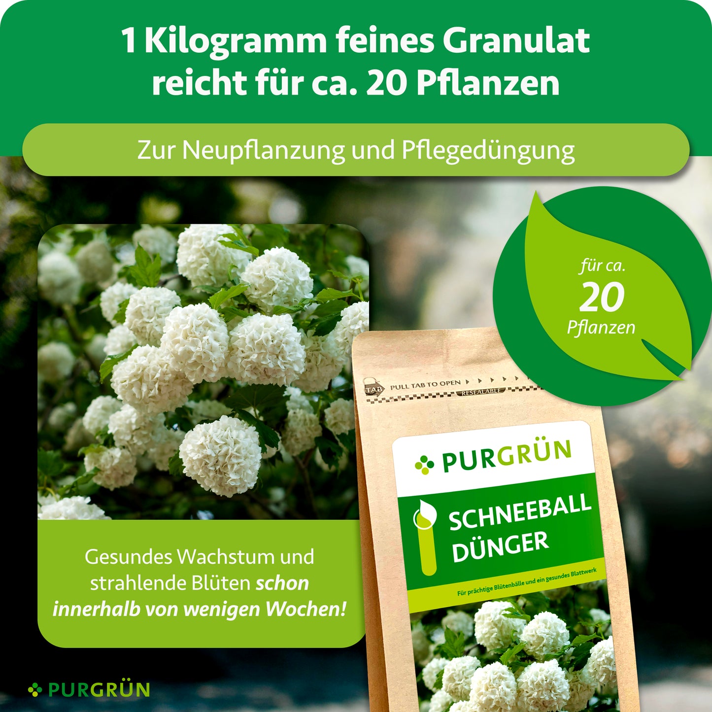 Schneeball-Dünger 1 kg