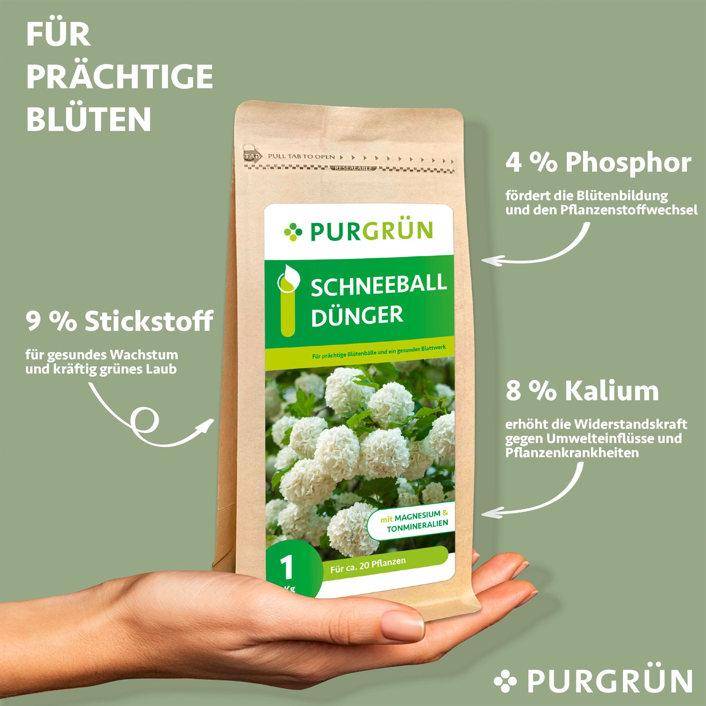 Schneeball-Dünger 1 kg