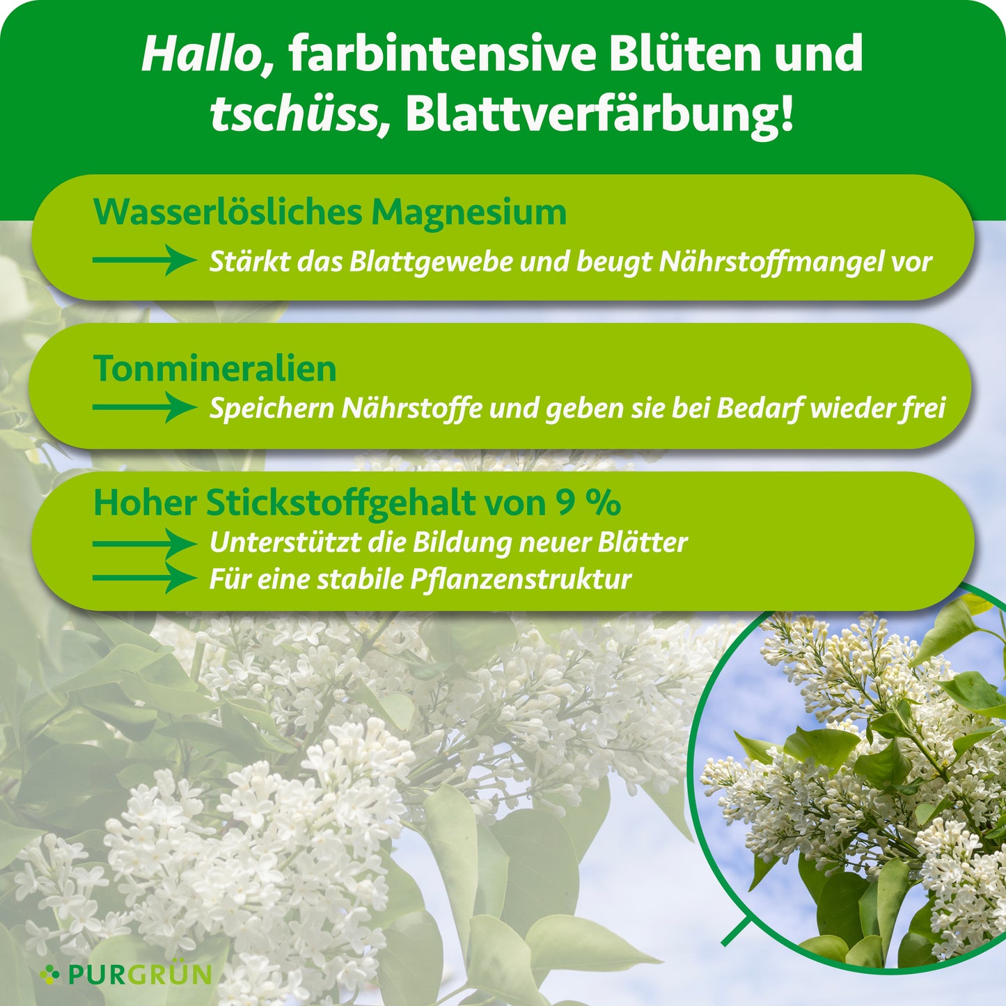 Sommerflieder-Dünger 1 kg