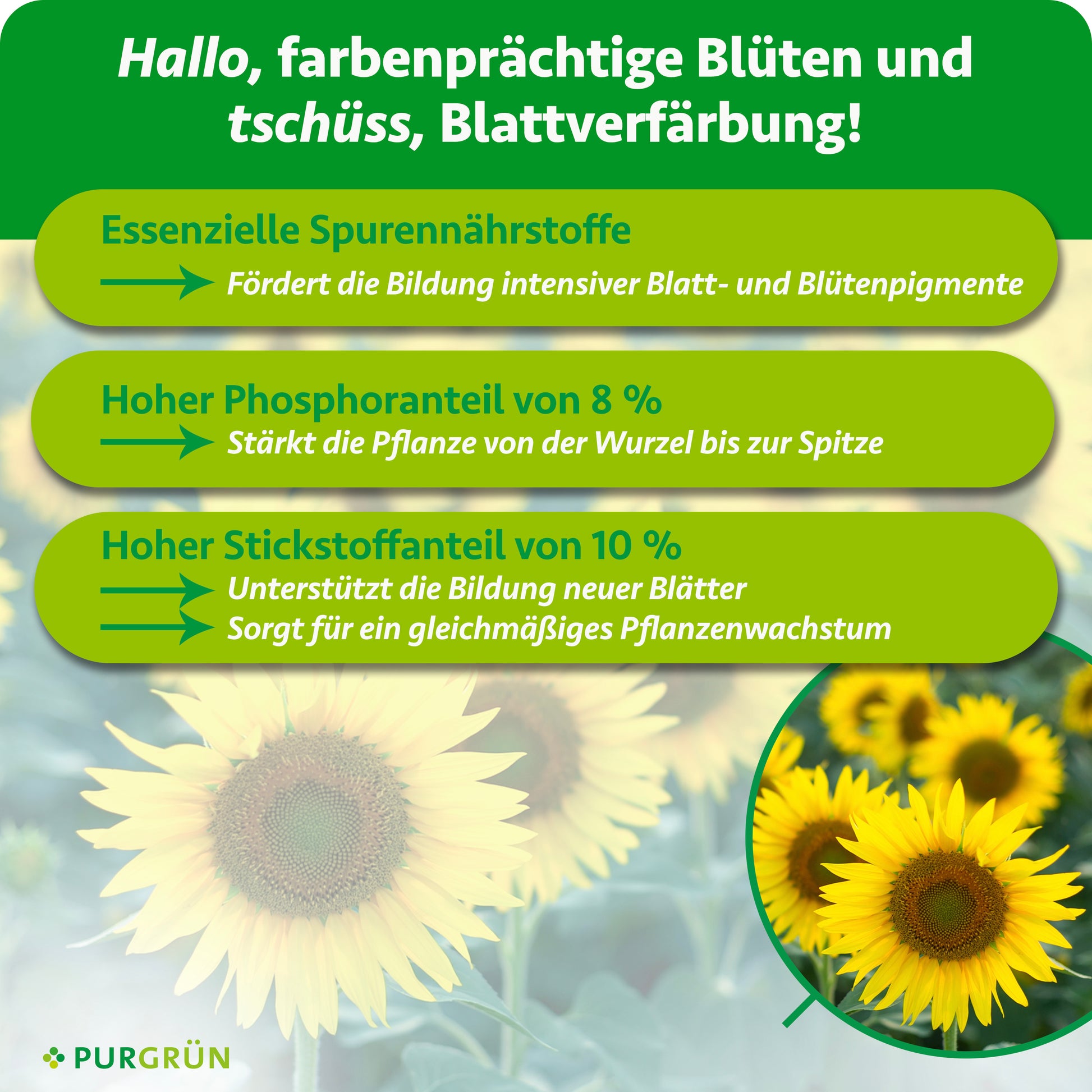 Purgrün Sonnenblumen-Dünger 1 Liter