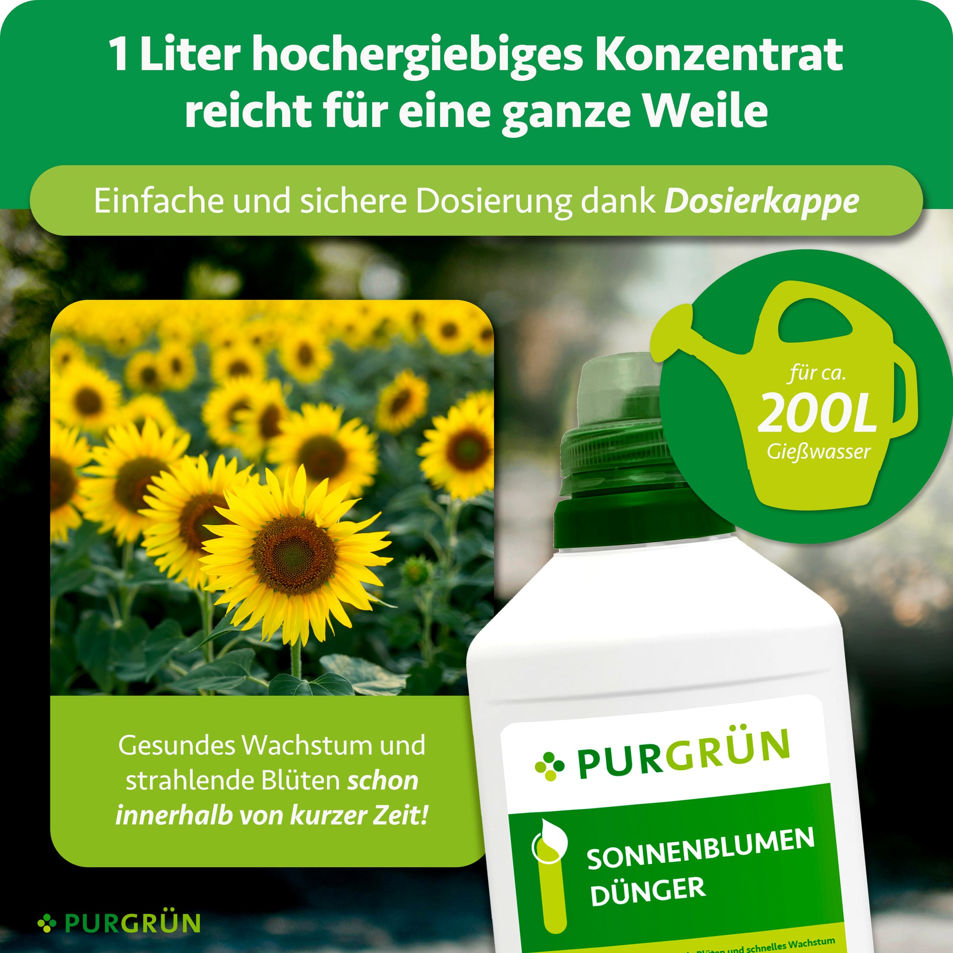 sonnenblumen welcher dünger Purgrün Sonnenblumen-Dünger 1 Liter