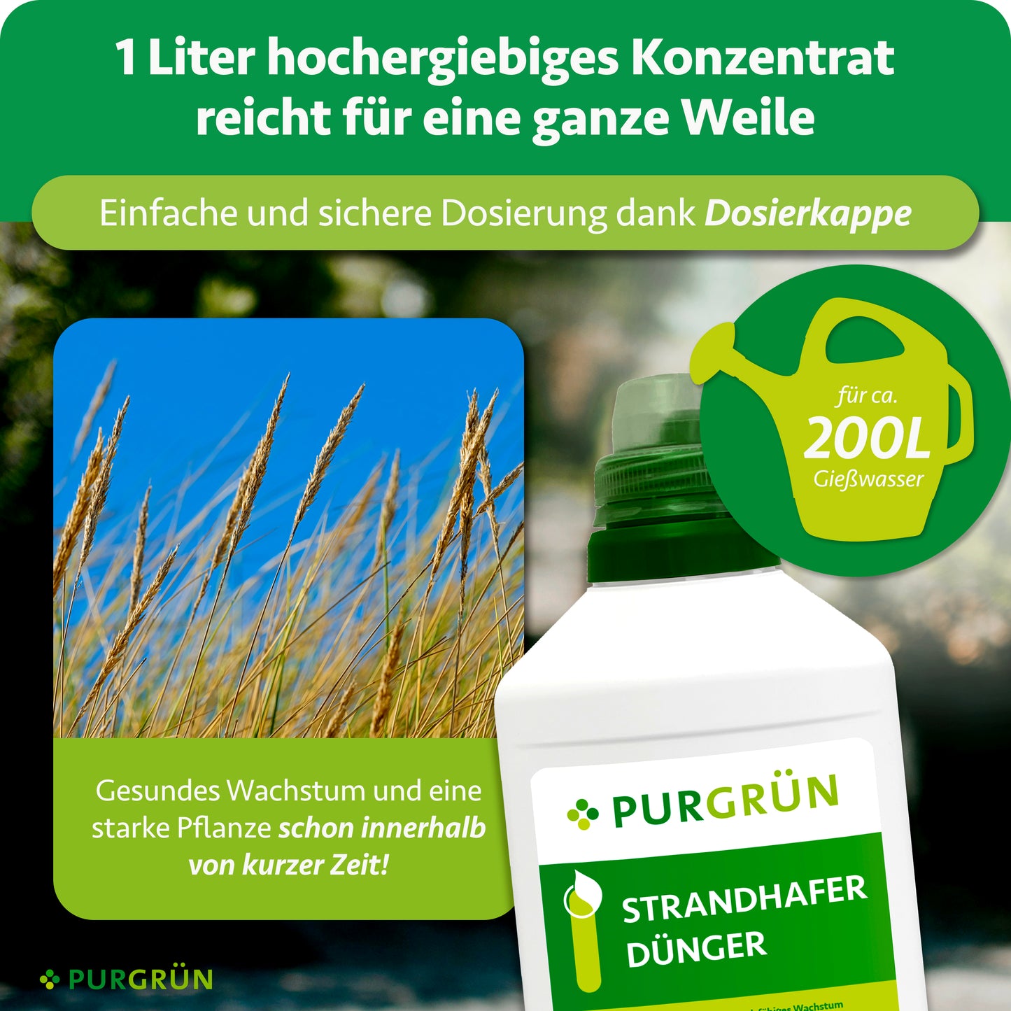 Strandhafer-Dünger 1 Liter