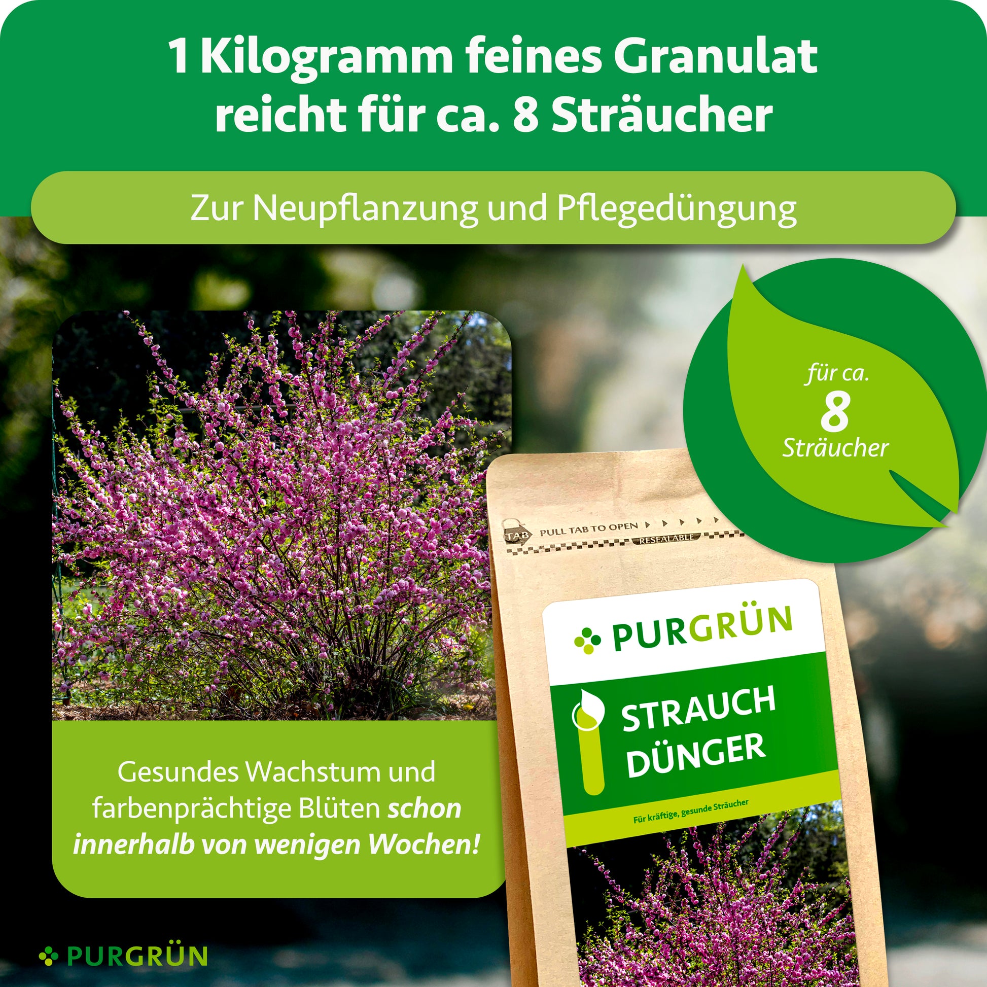 Purgrün Strauchdünger 1 kg