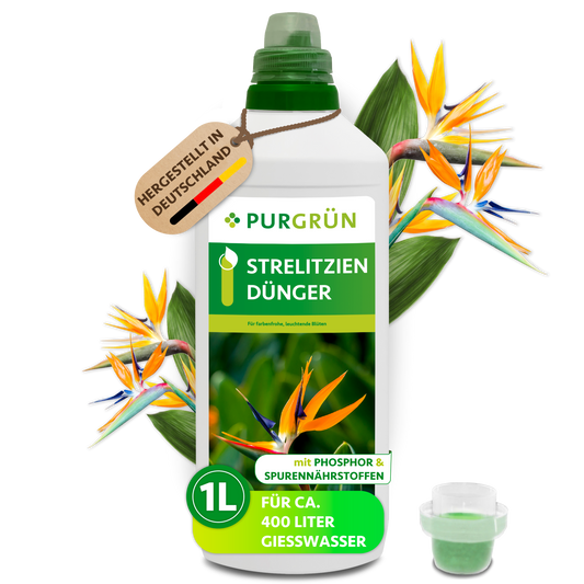 Strelitzien-Dünger 1 Liter