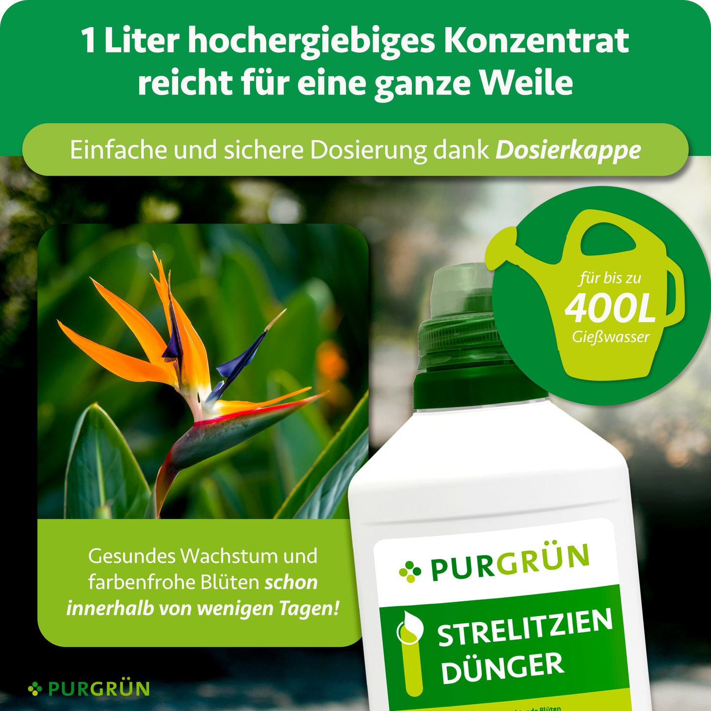 Strelitzien-Dünger 1 Liter