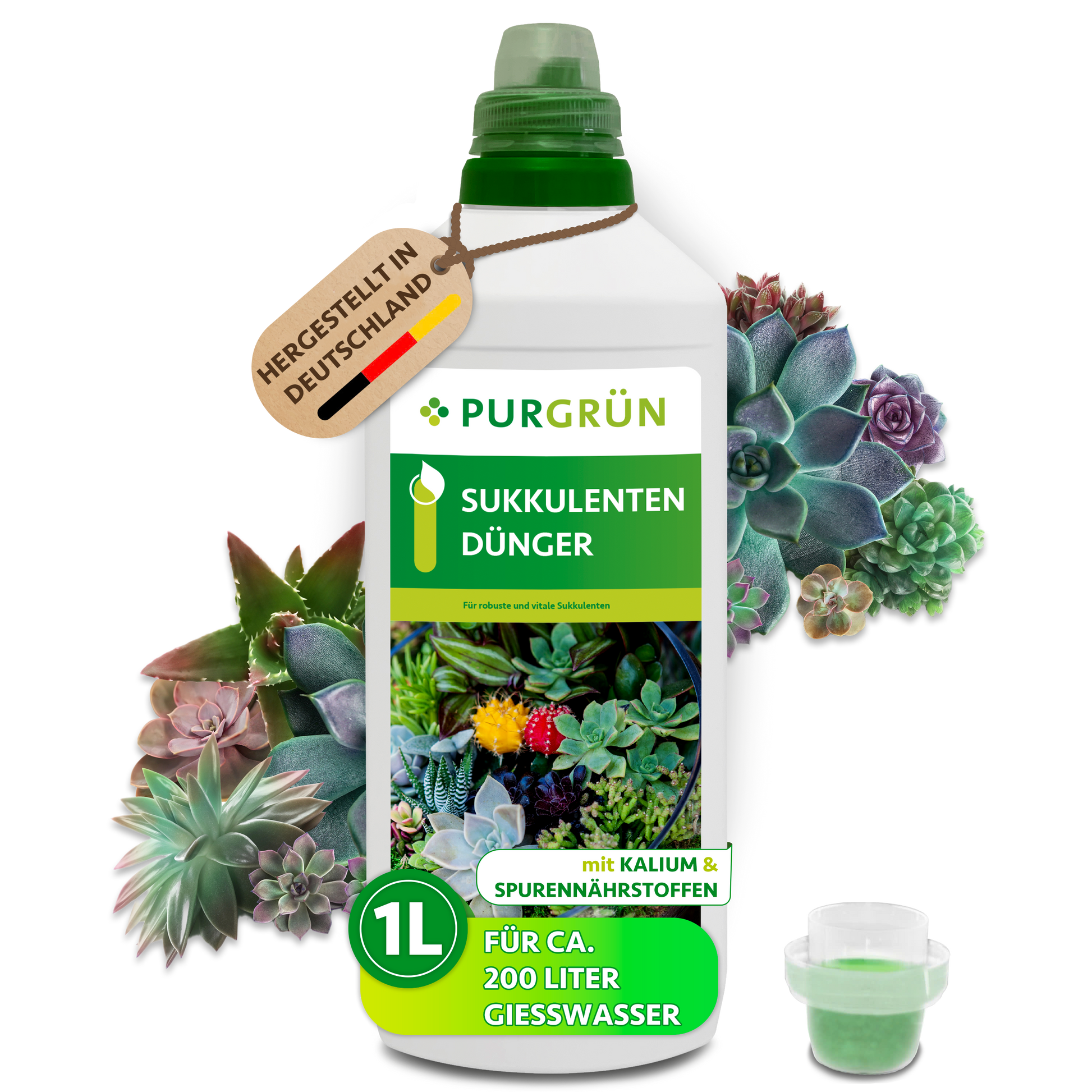 Purgrün Sukkulenten-Dünger 1 Liter