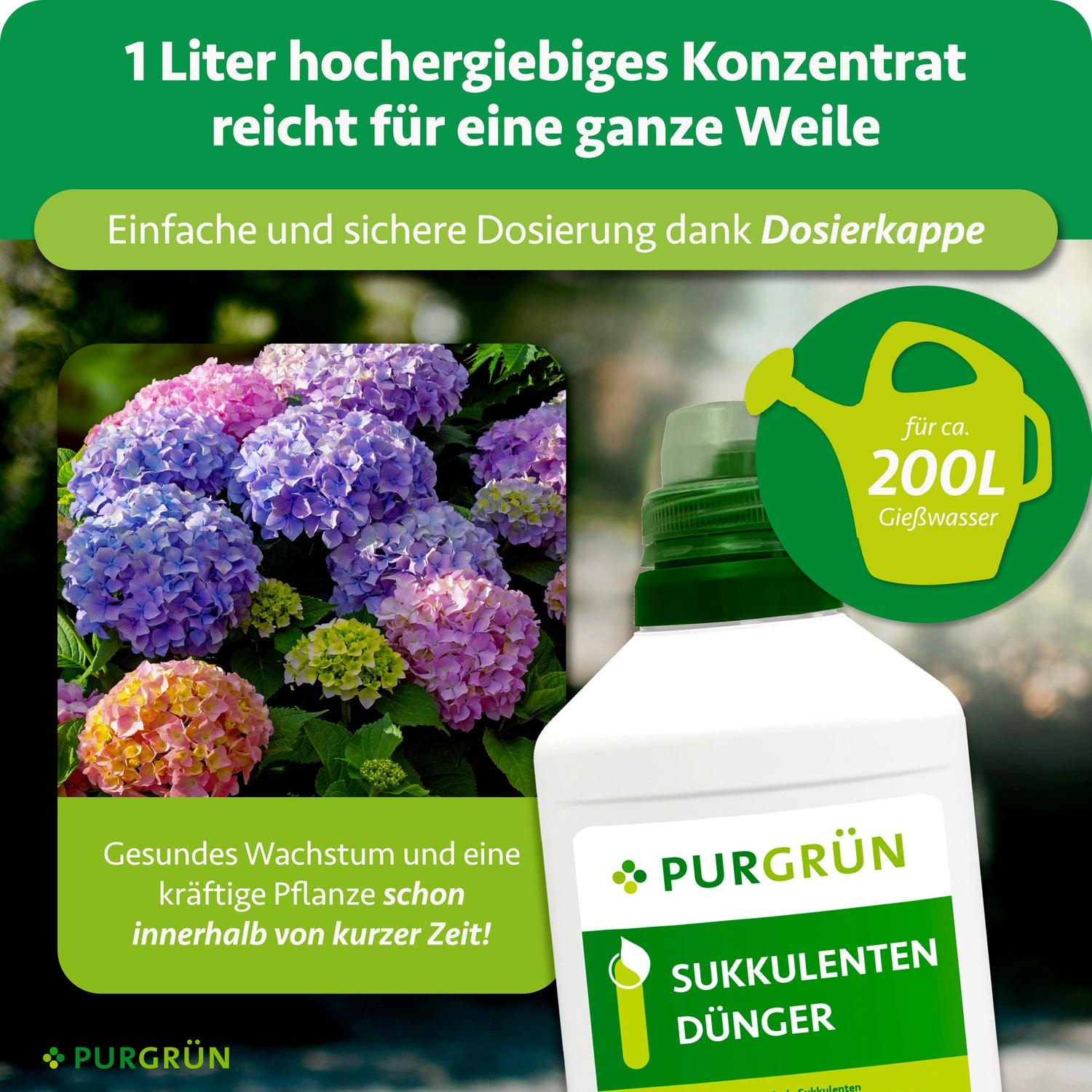 Purgrün Sukkulenten-Dünger 1 Liter