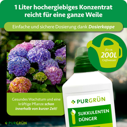Sukkulenten-Dünger 1 Liter