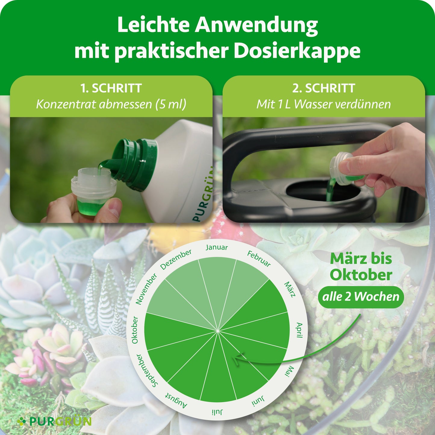 Sukkulenten-Dünger 1 Liter
