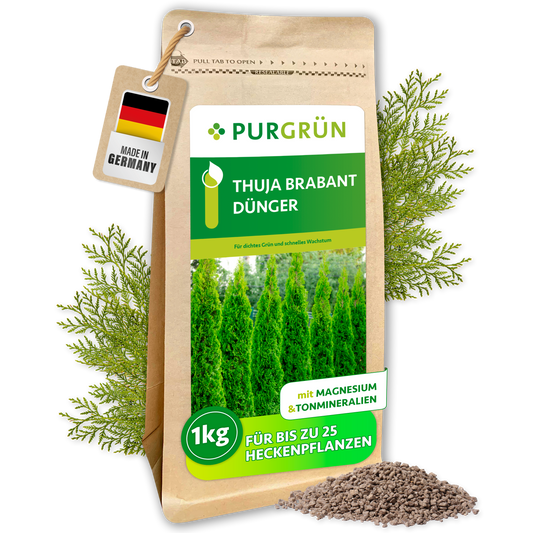 Thuja-Brabant-Dünger 1 kg