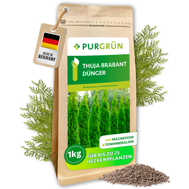Purgrün Thuja-Brabant-Dünger im 1-kg-Beutel, mit Magnesium und Tonmineralien, für bis zu 25 Heckenpflanzen.