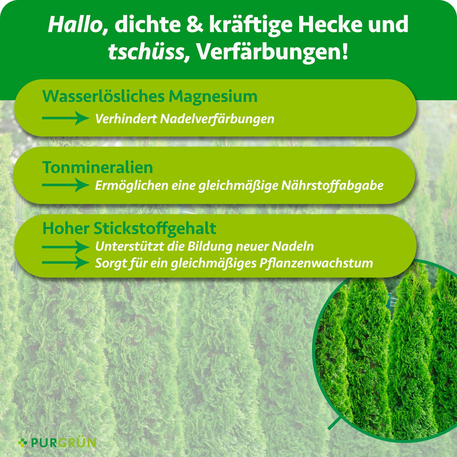 dünger für thuja Purgrün Thuja-Brabant-Dünger 1 kg