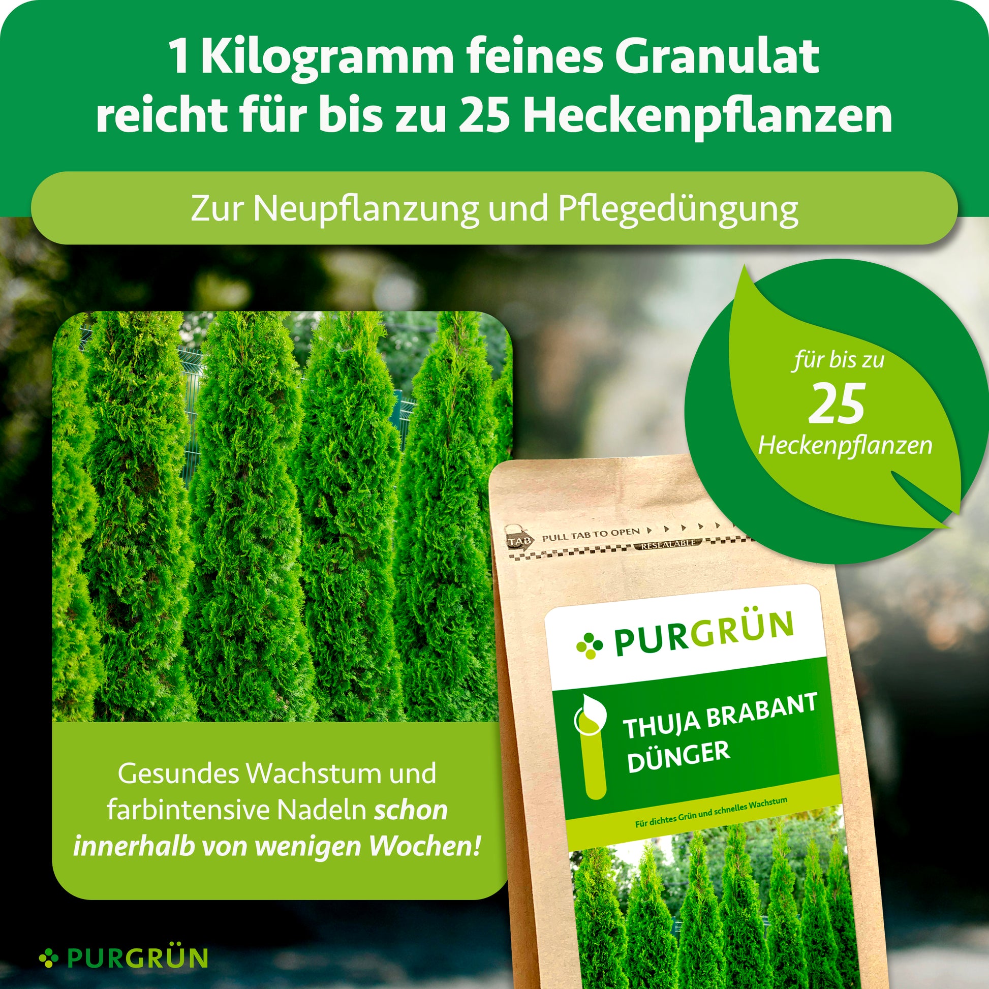 Purgrün Thuja-Brabant-Dünger 1 kg