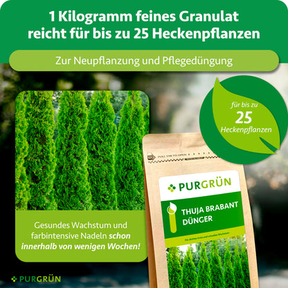 Purgrün Thuja-Brabant-Dünger 1 kg