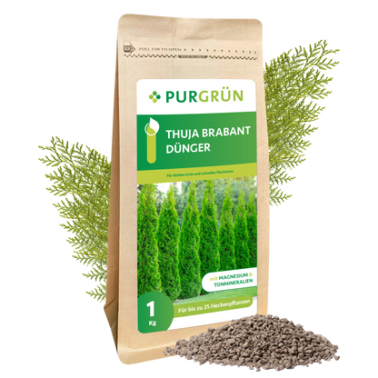Thuja-Brabant-Dünger 1 kg