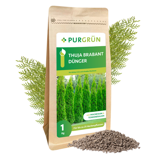 Thuja-Brabant-Dünger 1 kg