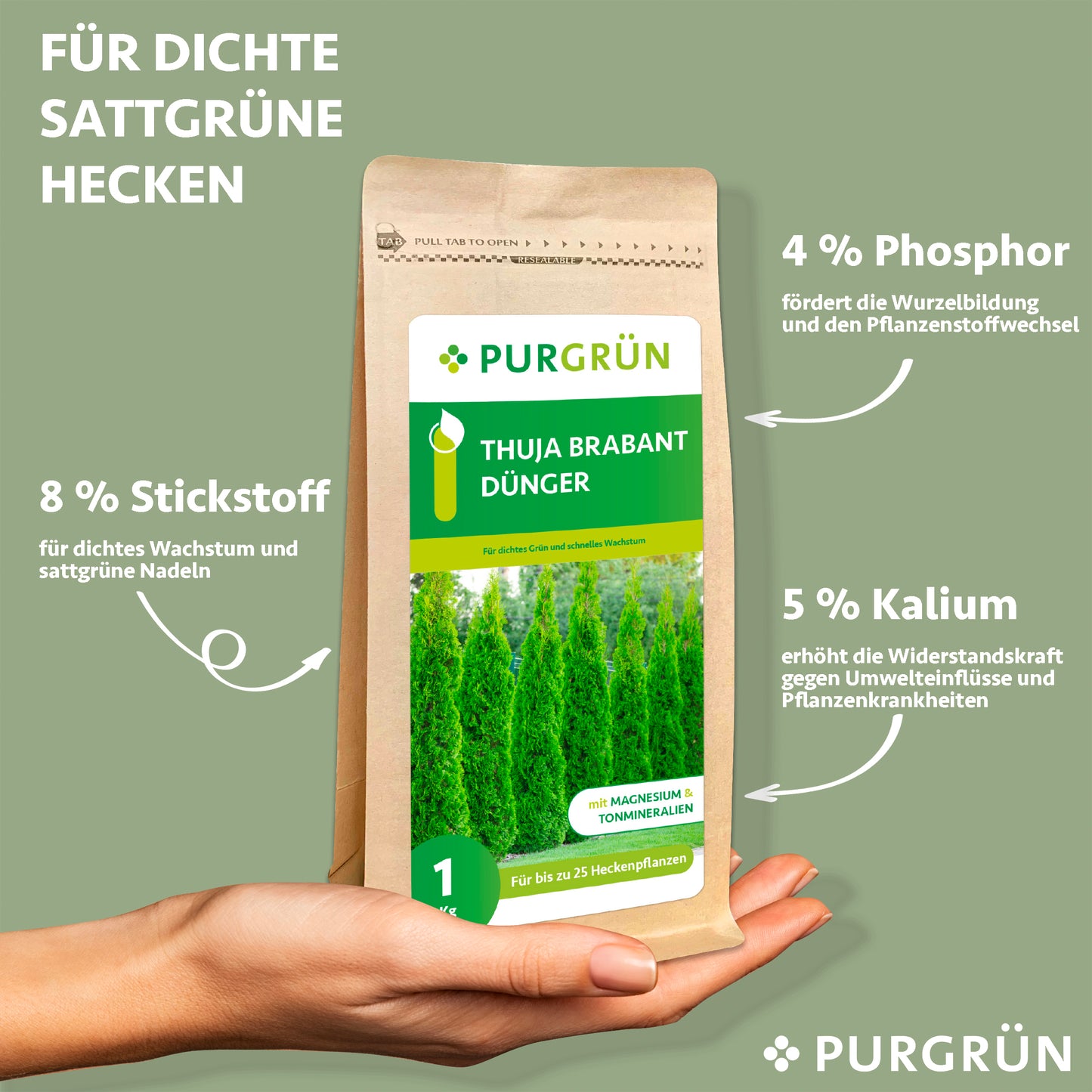 Thuja-Brabant-Dünger 1 kg