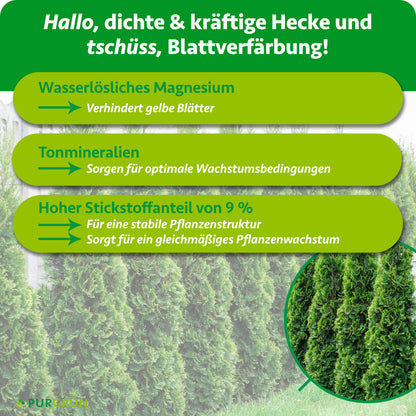 Purgrün Thuja-Dünger 1 kg