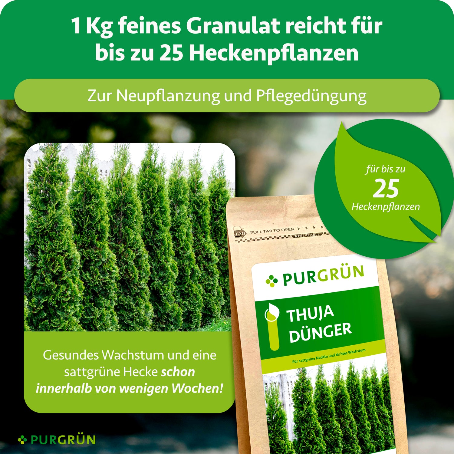 thuja mit kalk düngen Purgrün Thuja-Dünger 1 kg