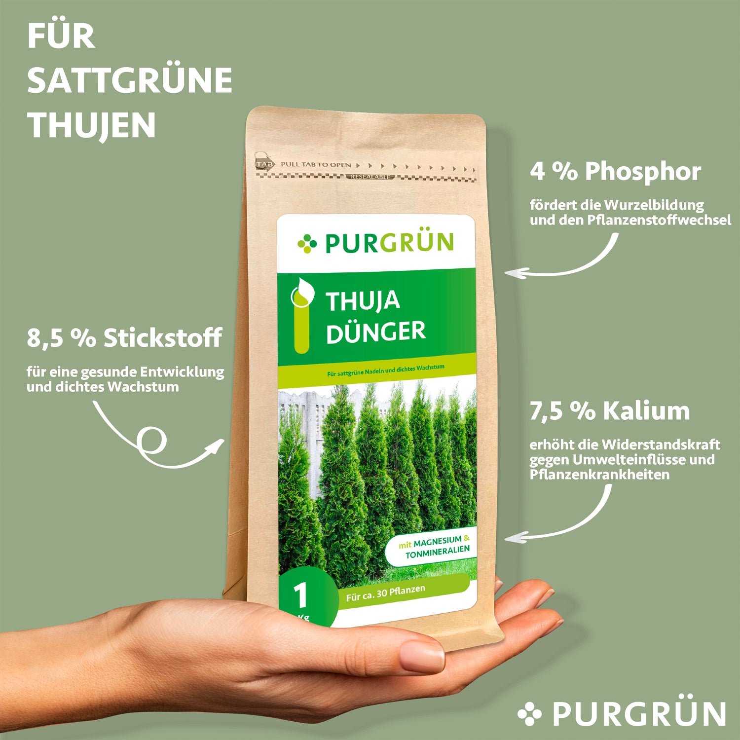 Eine Hand hält eine 1-kg-Packung Purgrün Thuja-Dünger vor grünem Hintergrund. Der Text betont die Anwendung für üppige, immergrüne Hecken und nennt die wichtigsten Nährstoffe: 8,5 % Stickstoff, 4 % Phosphor und 7,5 % Kalium. Das Purgrün-Logo ist sichtbar.
