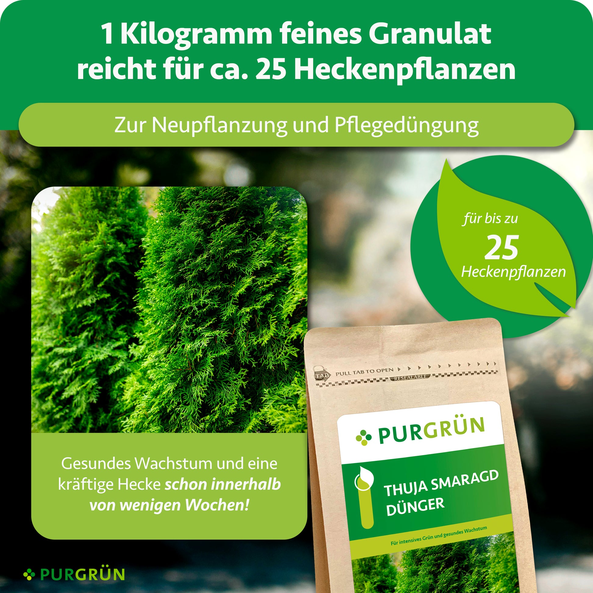 Purgrün Thuja-Smaragd-Dünger 1 kg