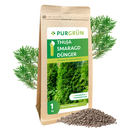 Thuja-Smaragd-Dünger 1 kg
