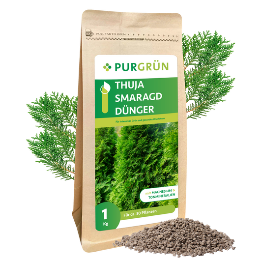 Thuja-Smaragd-Dünger 1 kg