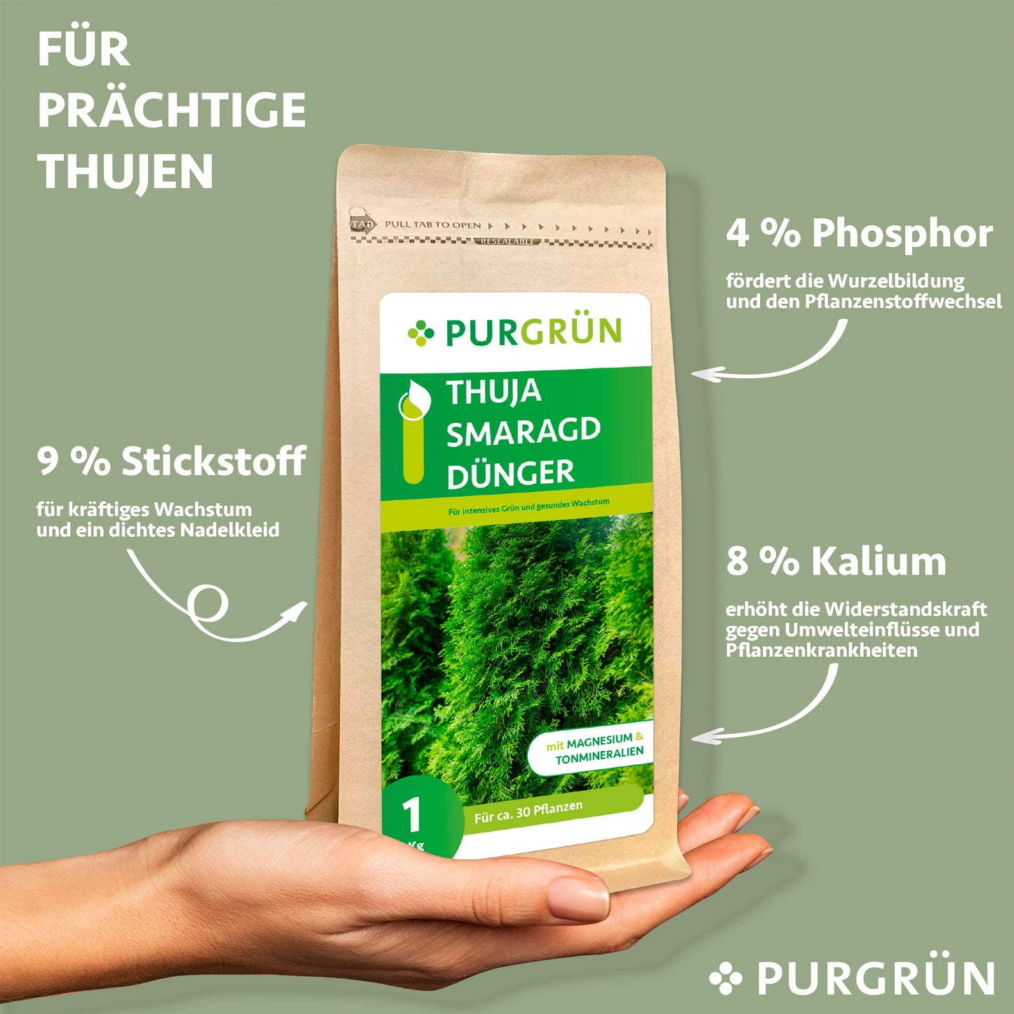 Thuja-Smaragd-Dünger 1 kg