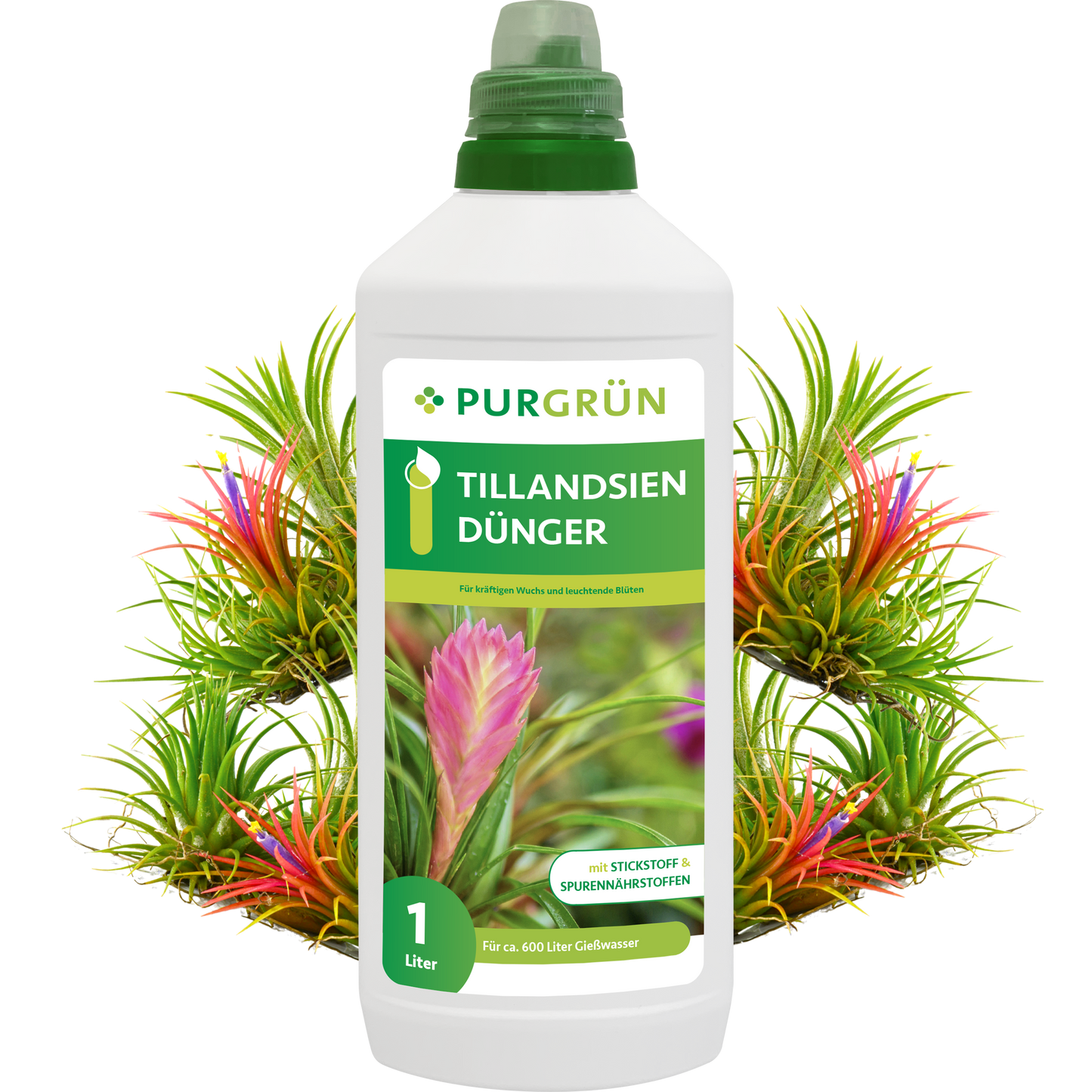 Tillandsien-Dünger 1 Liter