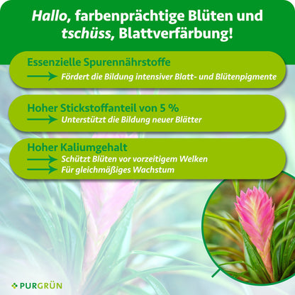 Tillandsien-Dünger 1 Liter