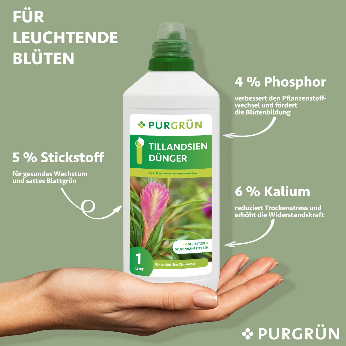 Tillandsien-Dünger 1 Liter