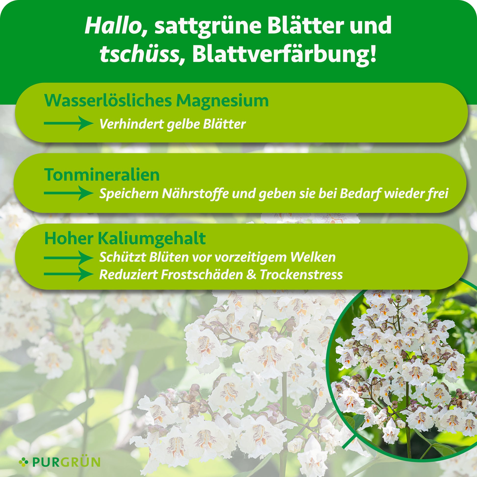 Purgrün Trompetenbaum-Dünger 1 kg