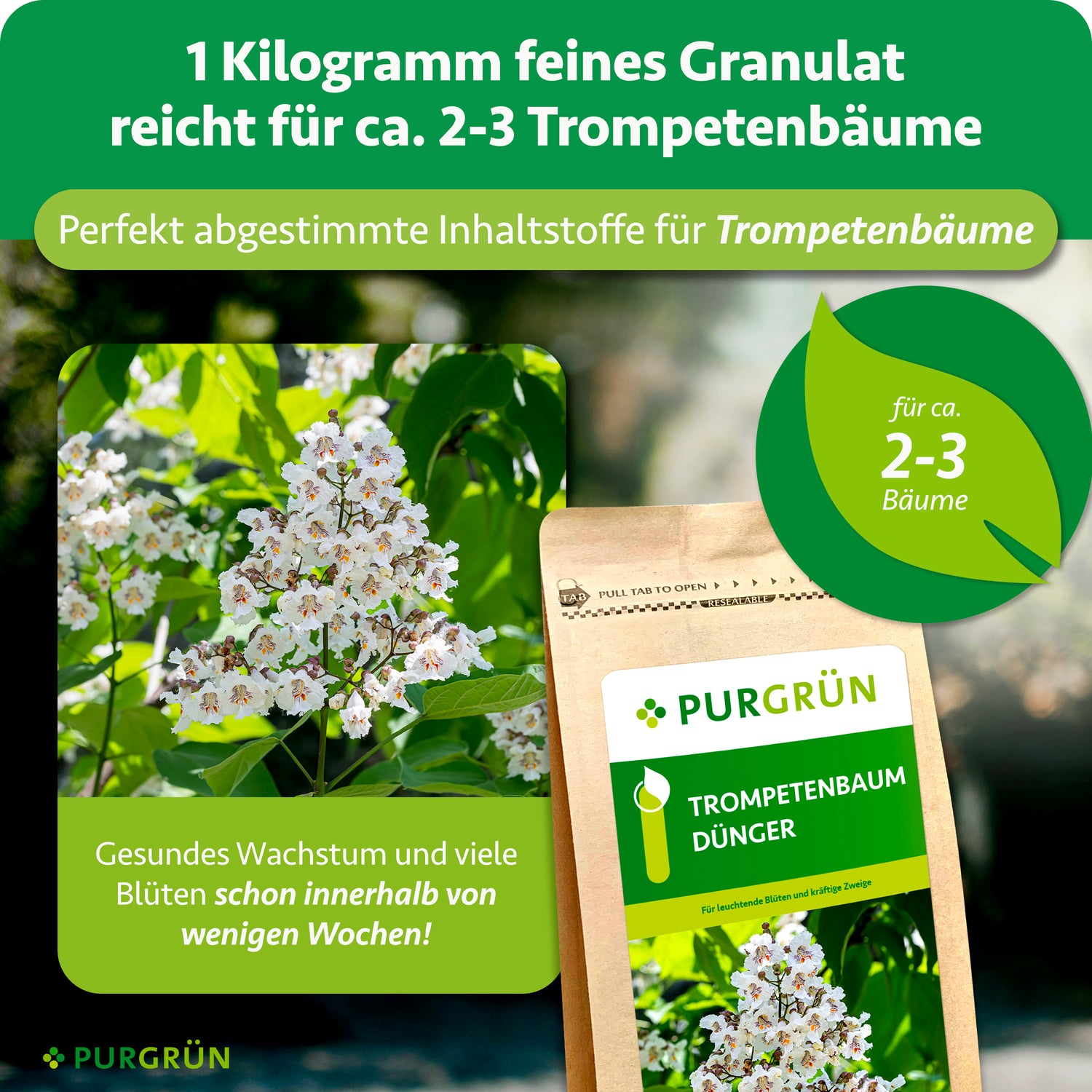 Purgrün Trompetenbaum-Dünger 1 kg