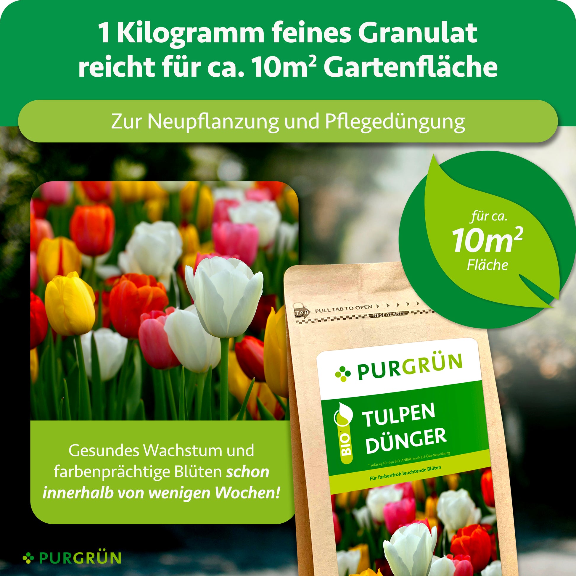 tulpen aufbewahren Purgrün Tulpendünger 1 kg