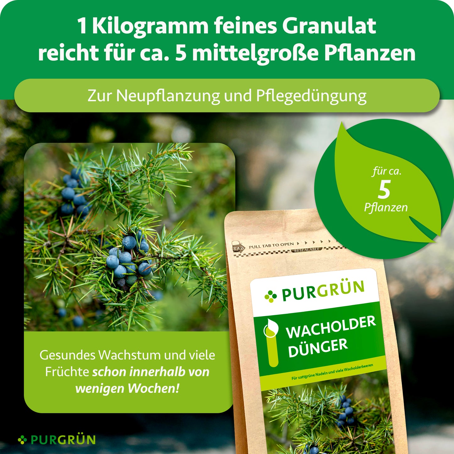 Wacholder-Dünger 1 kg