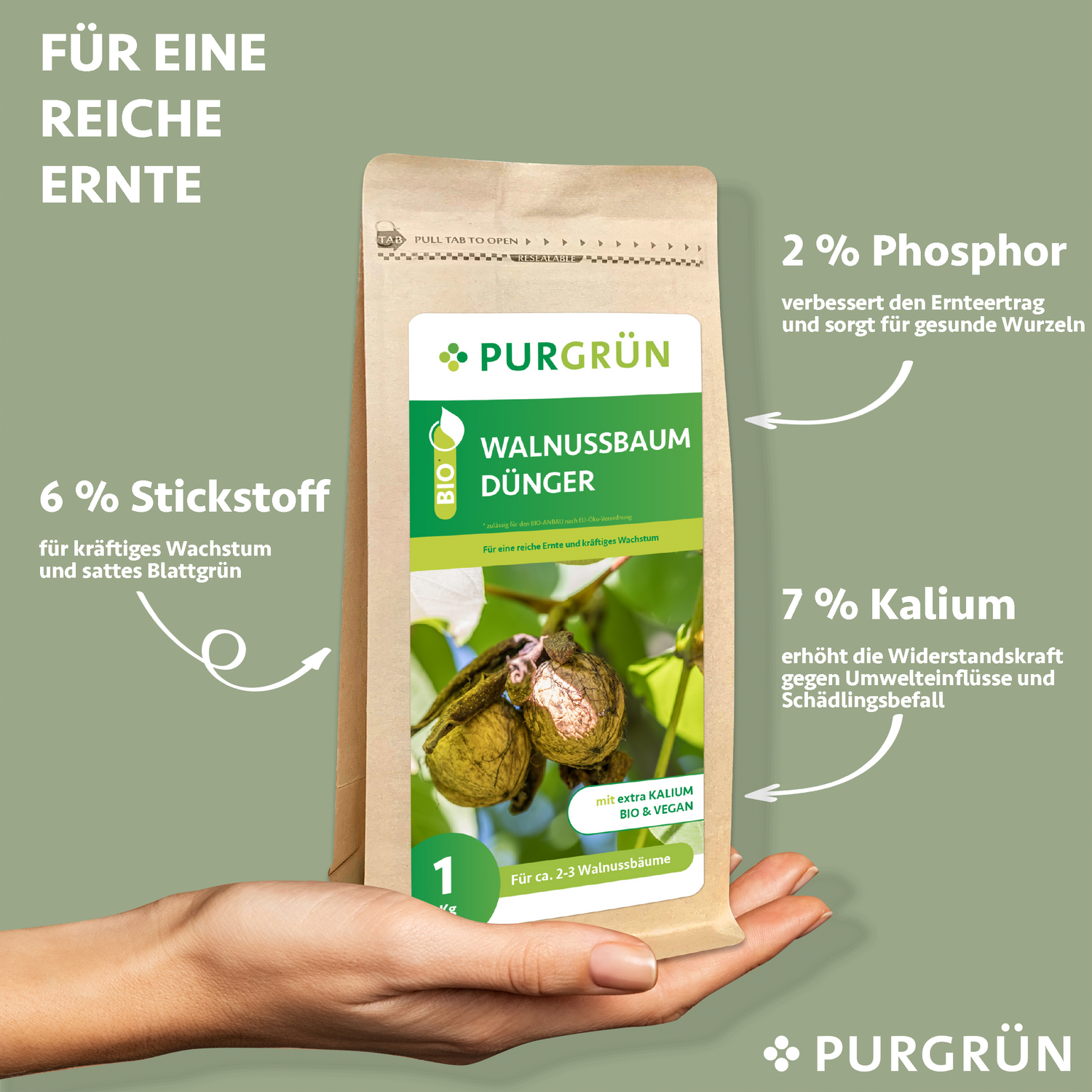 Eine Hand hält einen 1-kg-Beutel Purgrün Bio-Walnussbaum-Dünger. Der Text zeigt 6 % Stickstoff, 2 % Phosphor und 7 % Kalium. Der grüne Hintergrund informiert über diesen organischen Spezialdünger für Walnussbäume.