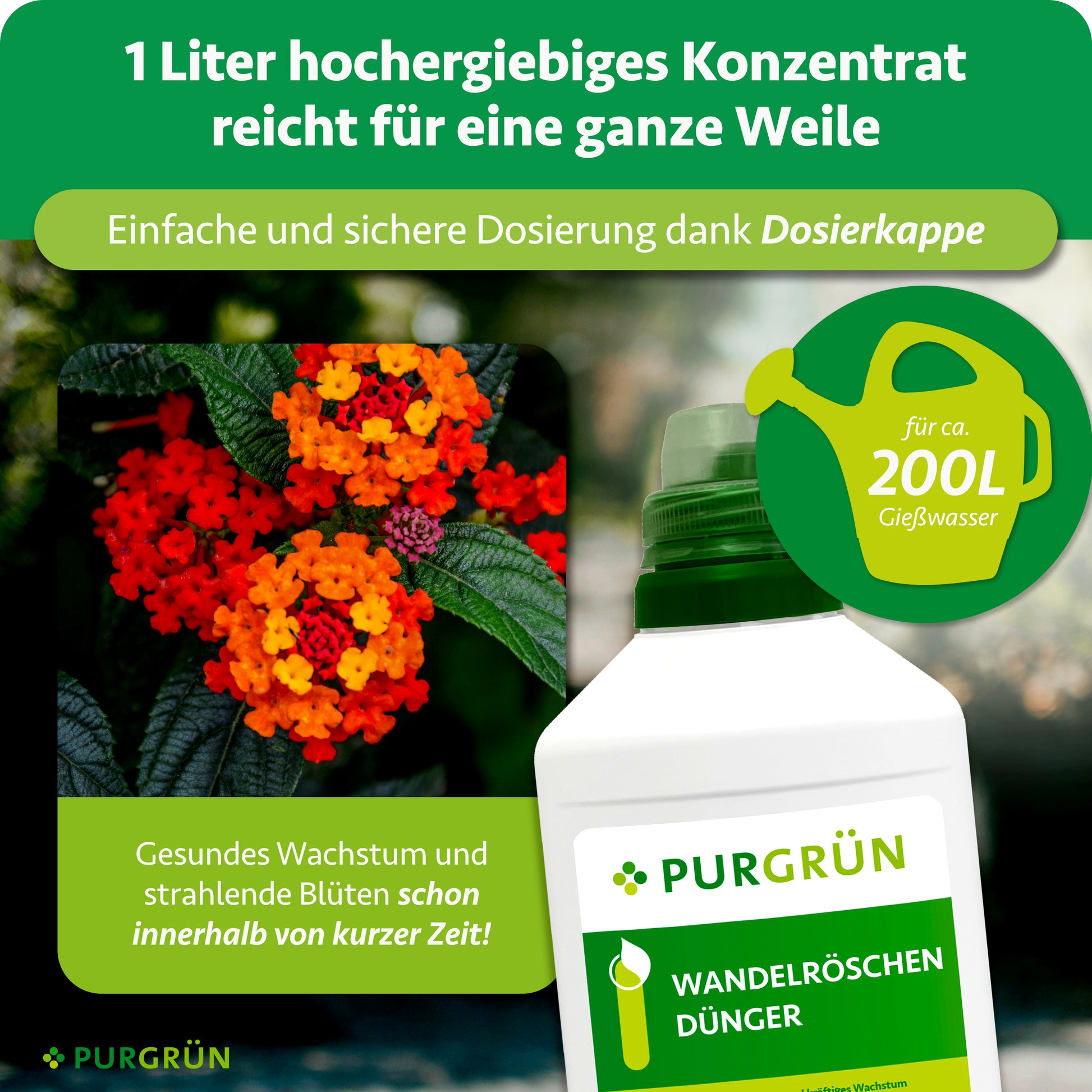 Purgrün Wandelröschen-Dünger 1 Liter