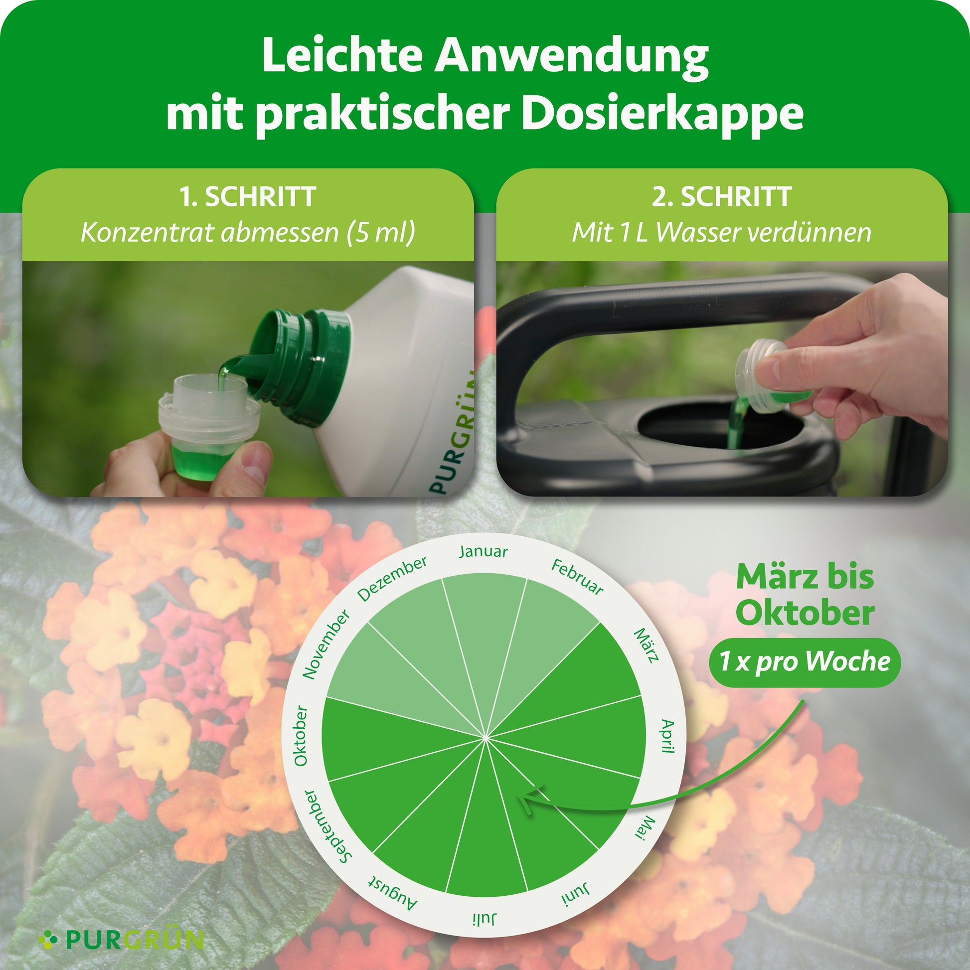 Purgrün Wandelröschen-Dünger 1 Liter