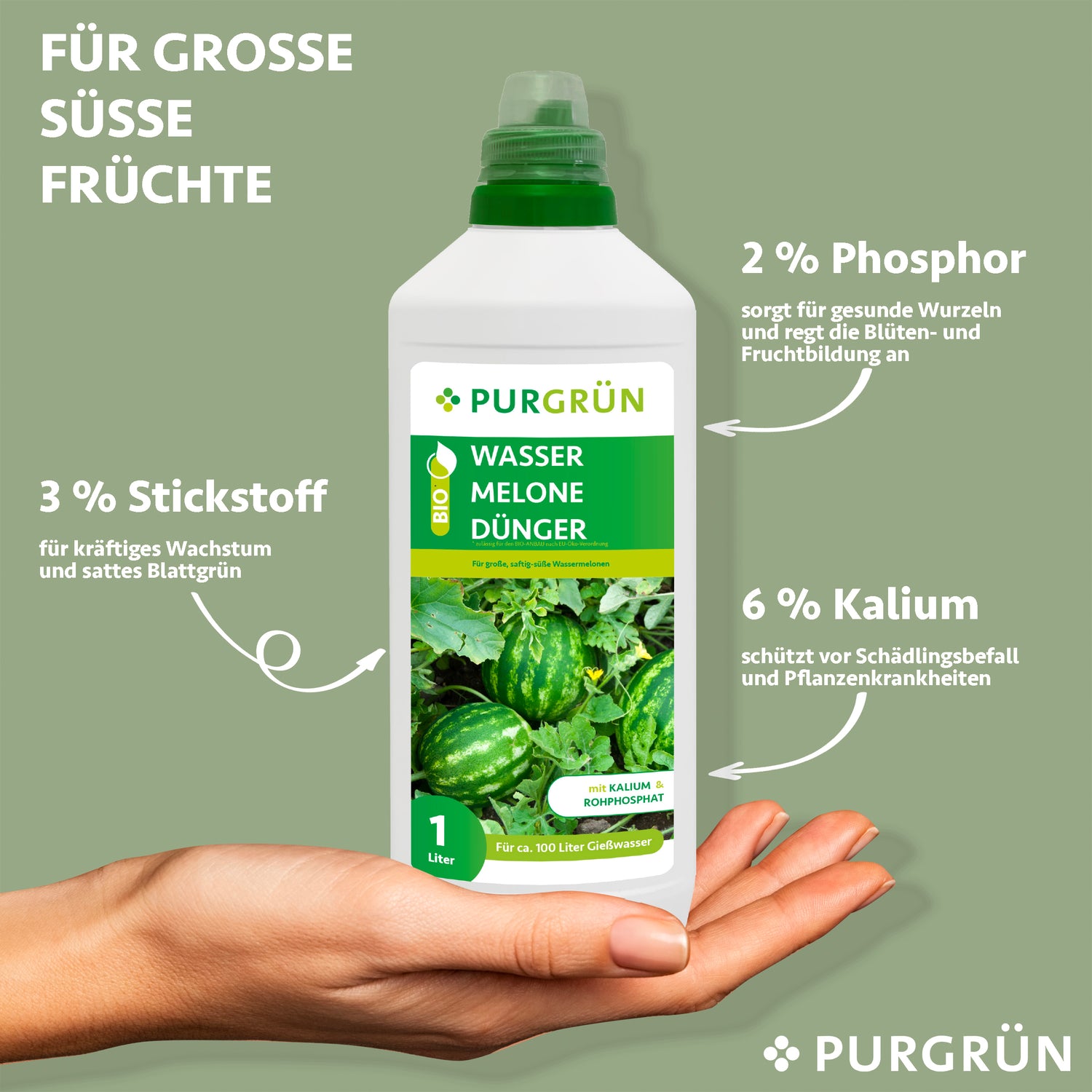 Eine Hand hält eine 1L-Flasche Purgrün Bio-Wassermelone-Dünger. Mit 3 % Stickstoff für Wachstum, 2 % Phosphor für Wurzeln & Früchte, 6 % Kalium für Pflanzengesundheit. Organische Inhaltsstoffe sorgen für große, süße Wassermelonen.
