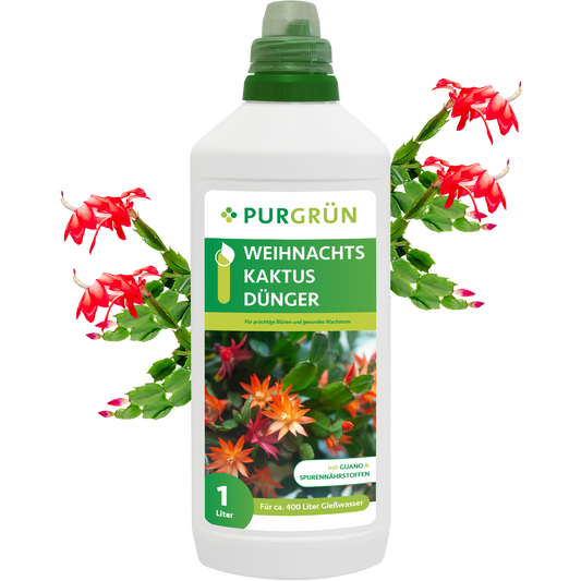 Weihnachtskaktus-Dünger 1 Liter